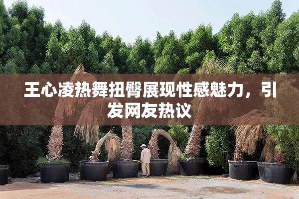 王心凌热舞扭臀展现性感魅力，引发网友热议