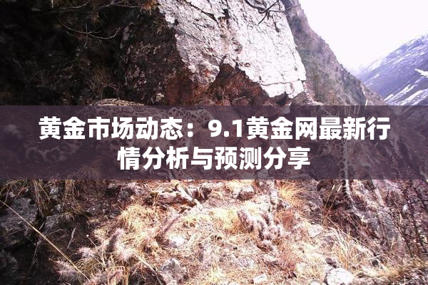 黄金市场动态：9.1黄金网最新行情分析与预测分享