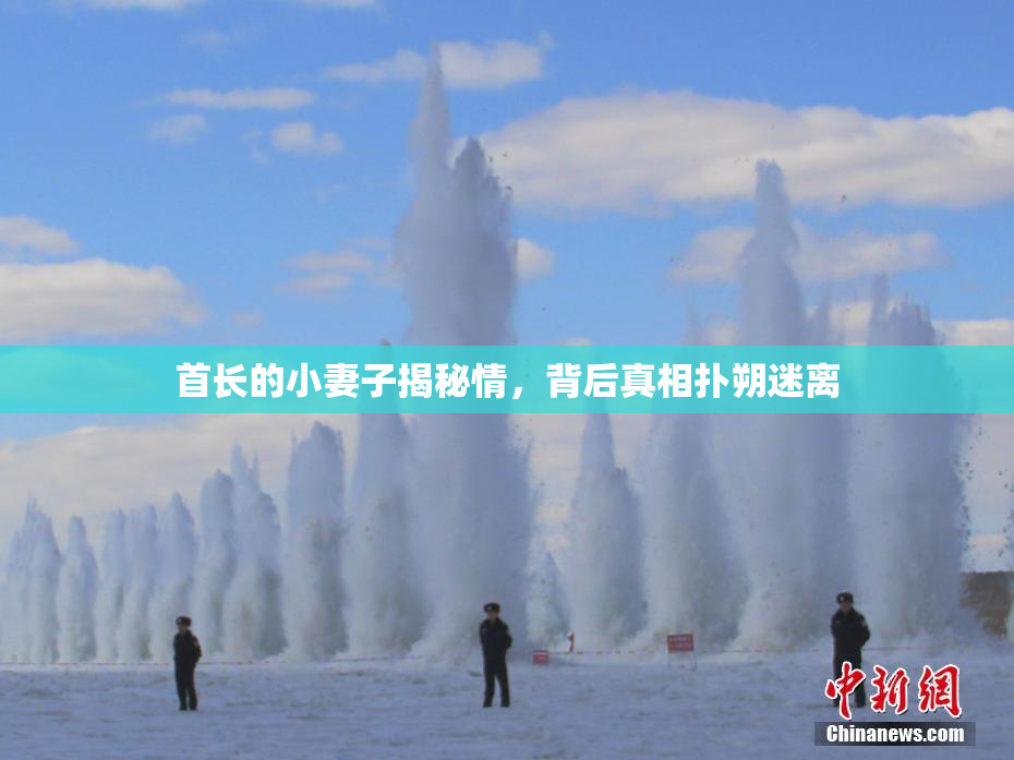 首长的小妻子揭秘情，背后真相扑朔迷离