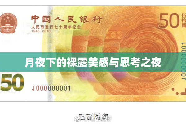 月夜下的裸露美感与思考之夜