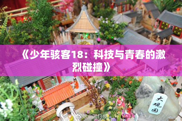 《少年骇客18：科技与青春的激烈碰撞》
