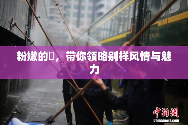 粉嫩的泬，带你领略别样风情与魅力