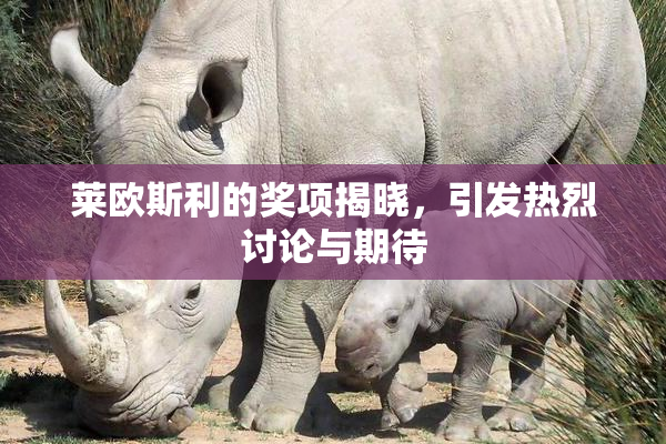 莱欧斯利的奖项揭晓，引发热烈讨论与期待