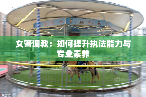 女警调教：如何提升执法能力与专业素养