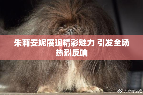 朱莉安妮展现精彩魅力 引发全场热烈反响