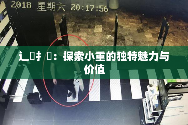 辶喿扌畐：探索小重的独特魅力与价值