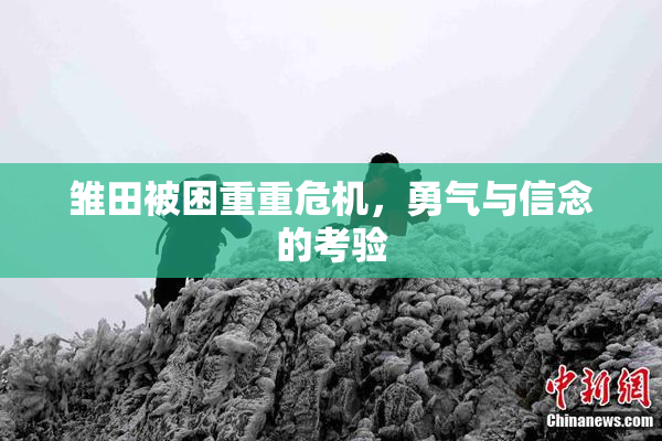 雏田被困重重危机，勇气与信念的考验