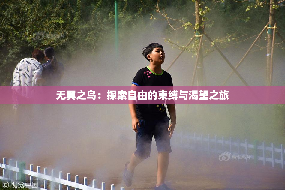 无翼之鸟：探索自由的束缚与渴望之旅