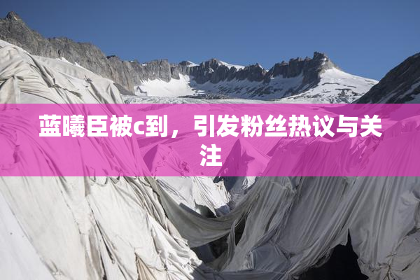 蓝曦臣被c到，引发粉丝热议与关注