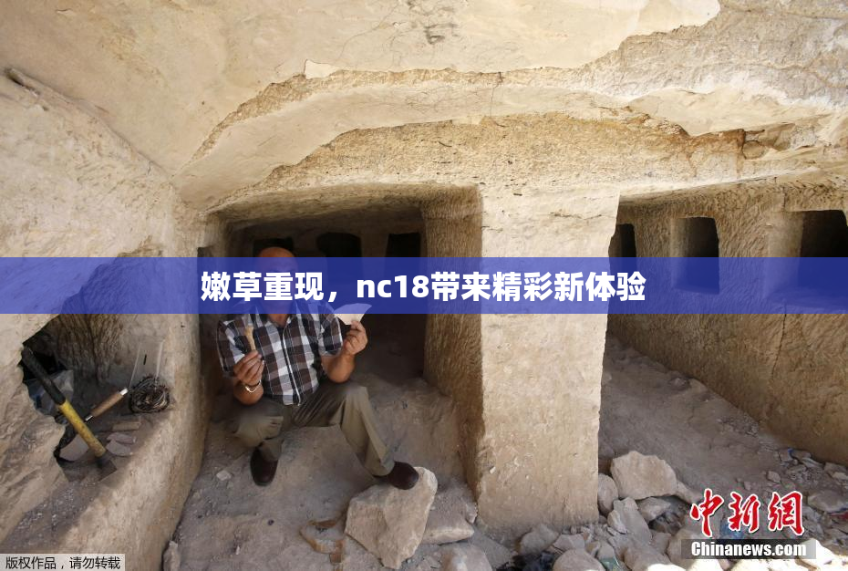 嫩草重现，nc18带来精彩新体验