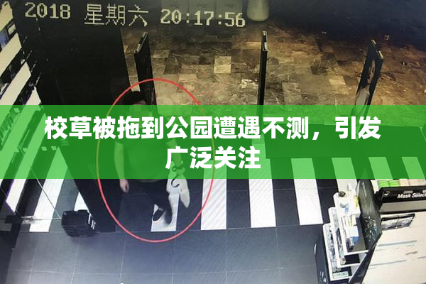校草被拖到公园遭遇不测，引发广泛关注