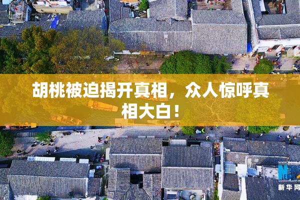 胡桃被迫揭开真相，众人惊呼真相大白！