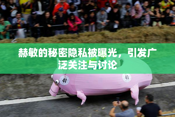 赫敏的秘密隐私被曝光，引发广泛关注与讨论