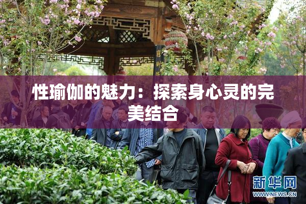 性瑜伽的魅力：探索身心灵的完美结合