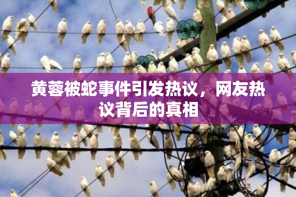 黄蓉被蛇事件引发热议，网友热议背后的真相