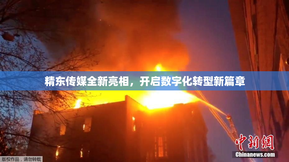 精东传媒全新亮相，开启数字化转型新篇章
