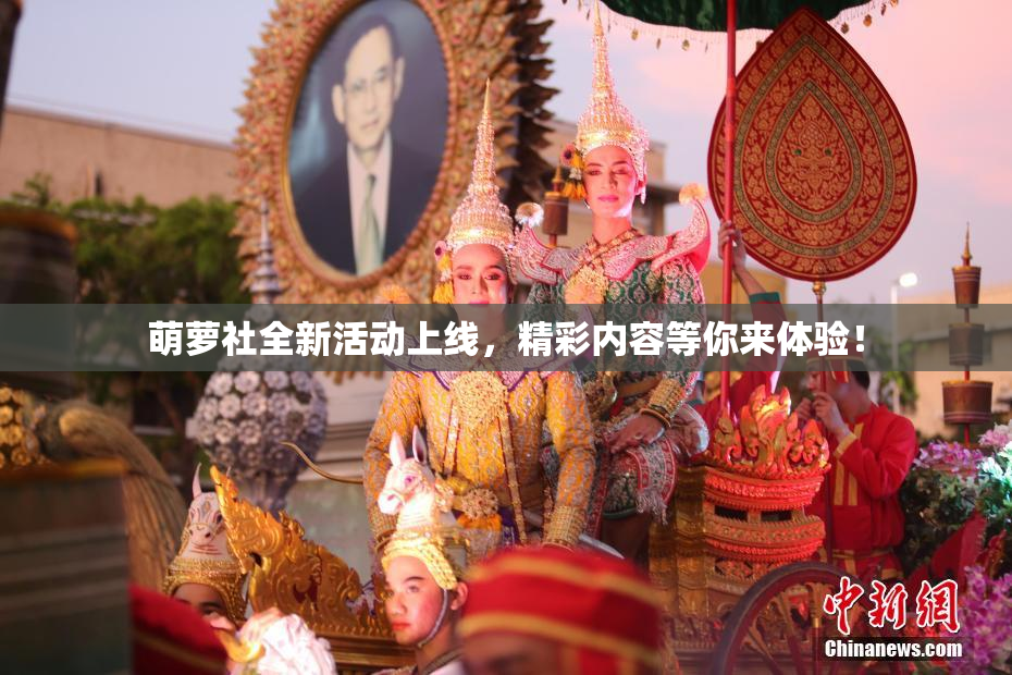 萌萝社全新活动上线，精彩内容等你来体验！