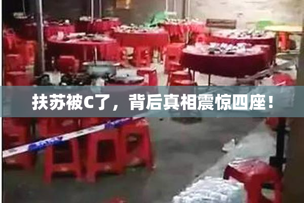 扶苏被C了，背后真相震惊四座！