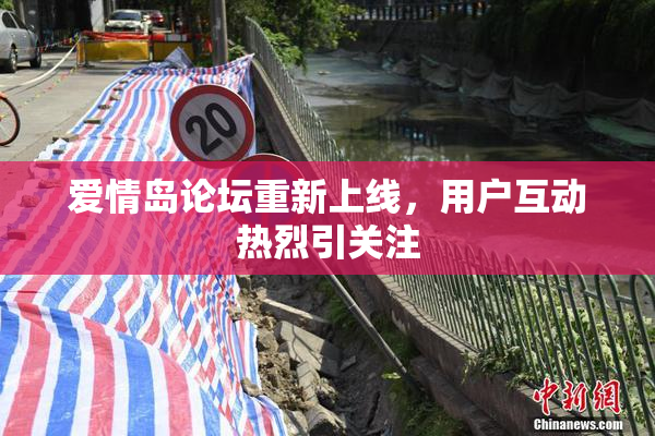 爱情岛论坛重新上线，用户互动热烈引关注