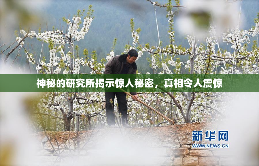 神秘的研究所揭示惊人秘密，真相令人震惊