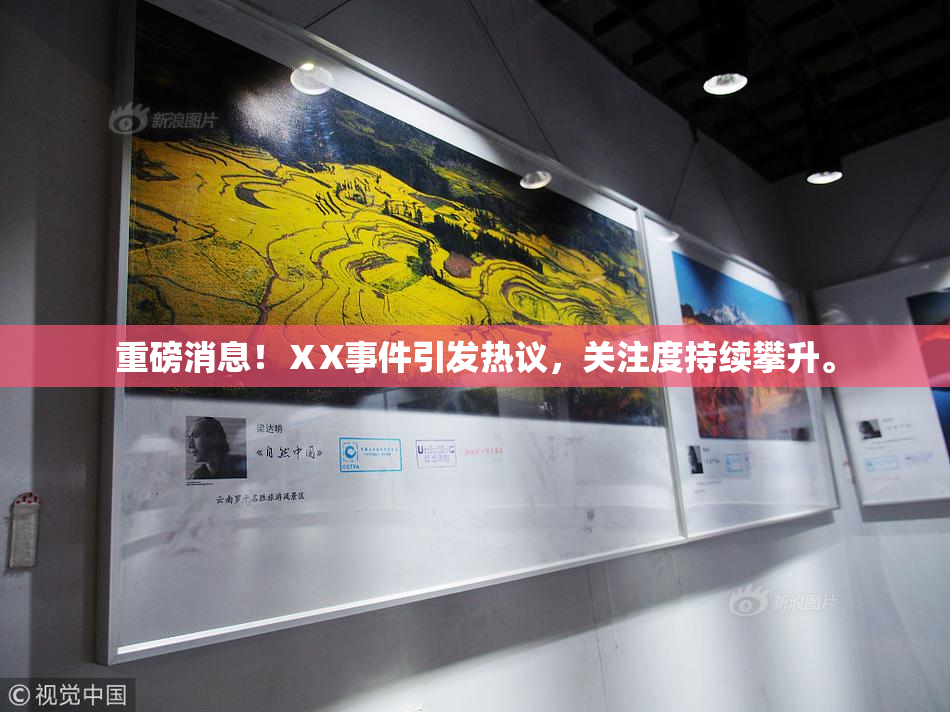 重磅消息！ⅩX事件引发热议，关注度持续攀升。