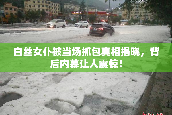 白丝女仆被当场抓包真相揭晓，背后内幕让人震惊！