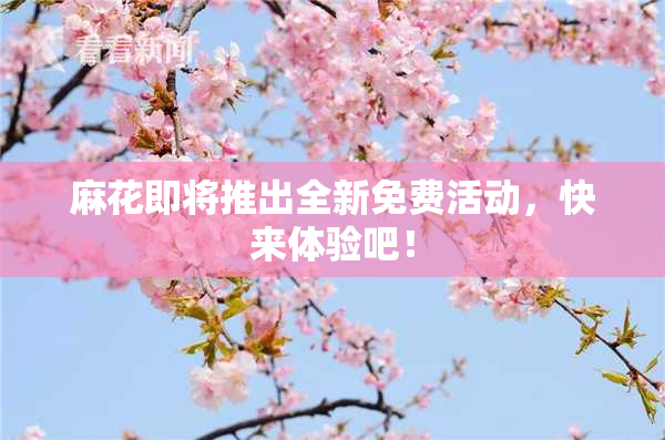 麻花即将推出全新免费活动，快来体验吧！