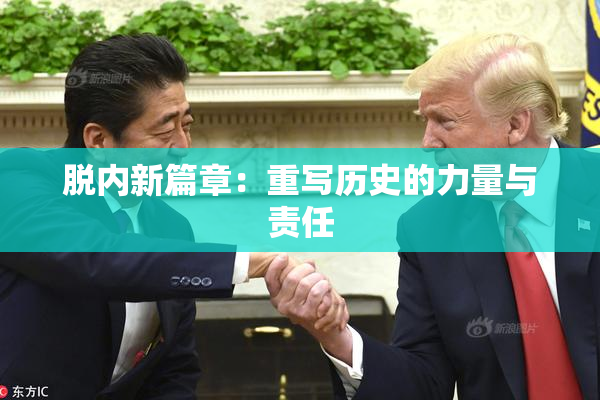 脱内新篇章：重写历史的力量与责任