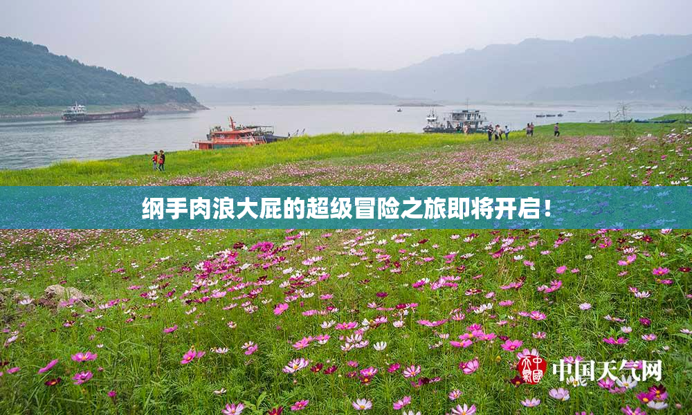 纲手肉浪大屁的超级冒险之旅即将开启！