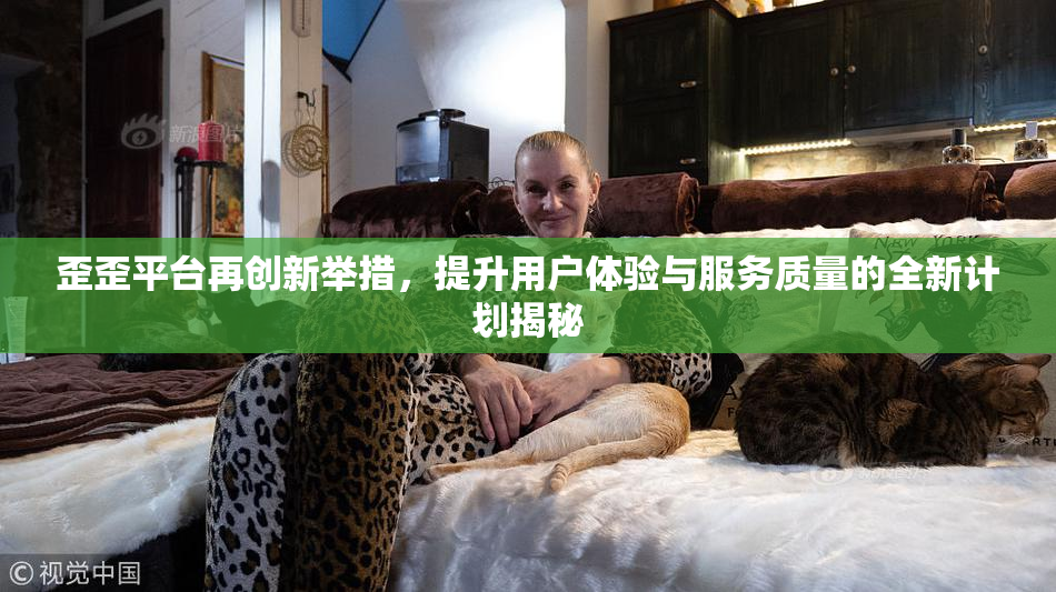 歪歪平台再创新举措，提升用户体验与服务质量的全新计划揭秘