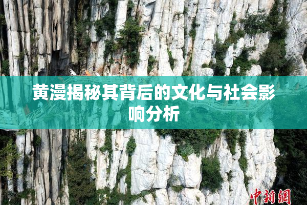 黄漫揭秘其背后的文化与社会影响分析
