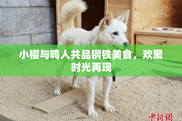 小樱与鸣人共品钢铁美食，欢聚时光再现