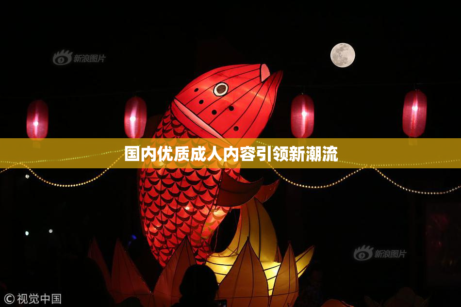 国内优质成人内容引领新潮流