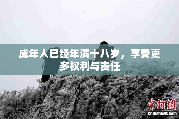 成年人已经年满十八岁，享受更多权利与责任
