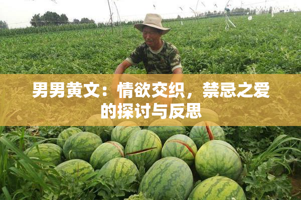 男男黄文：情欲交织，禁忌之爱的探讨与反思