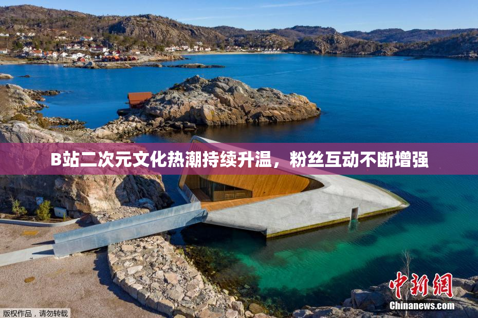 B站二次元文化热潮持续升温，粉丝互动不断增强