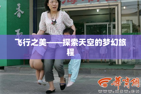 飞行之美——探索天空的梦幻旅程