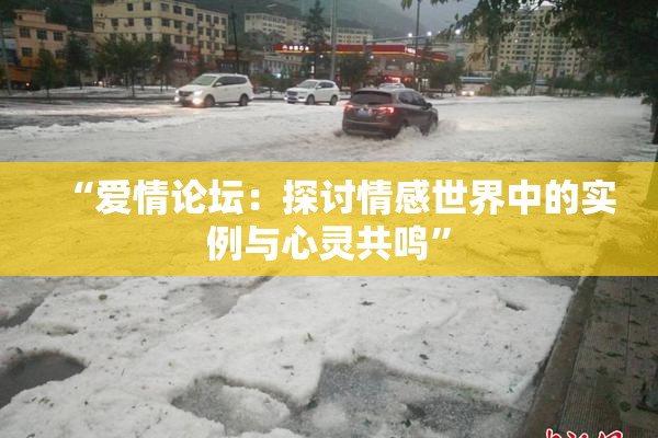 “爱情论坛：探讨情感世界中的实例与心灵共鸣”