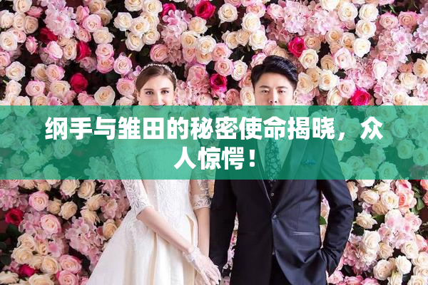纲手与雏田的秘密使命揭晓，众人惊愕！