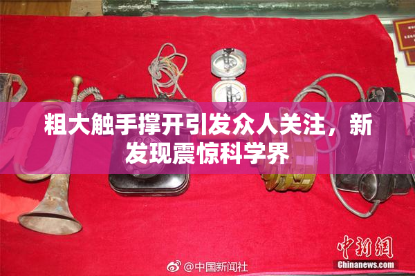 粗大触手撑开引发众人关注，新发现震惊科学界