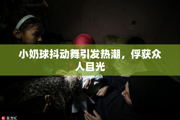 小奶球抖动舞引发热潮，俘获众人目光