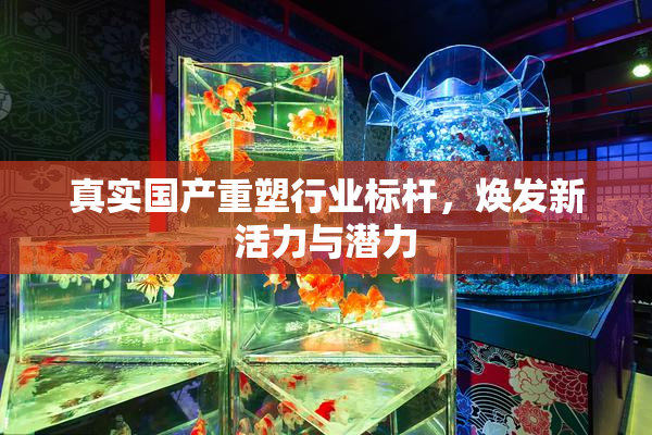 真实国产重塑行业标杆，焕发新活力与潜力