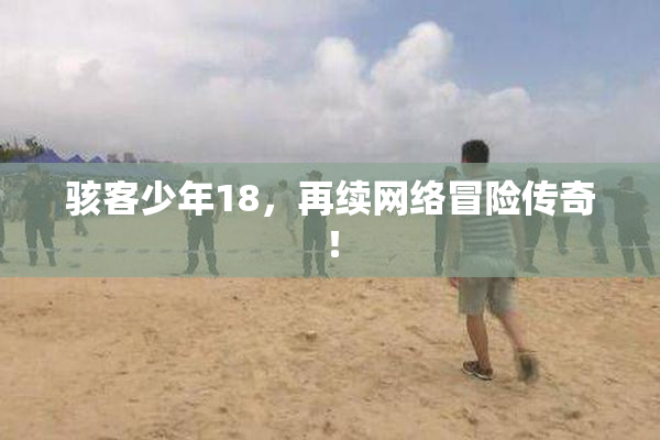 骇客少年18，再续网络冒险传奇！