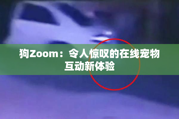 狗Zoom：令人惊叹的在线宠物互动新体验