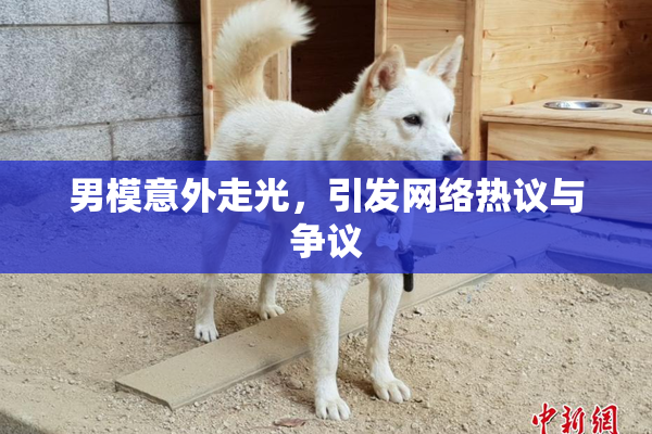 男模意外走光，引发网络热议与争议