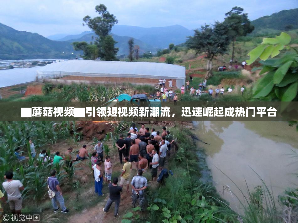 ▇蘑菇视频▇引领短视频新潮流，迅速崛起成热门平台