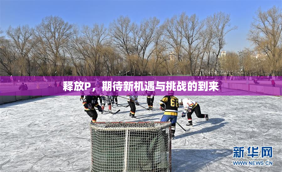 释放P，期待新机遇与挑战的到来