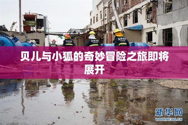 贝儿与小狐的奇妙冒险之旅即将展开