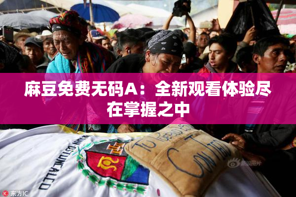 麻豆免费无码A：全新观看体验尽在掌握之中