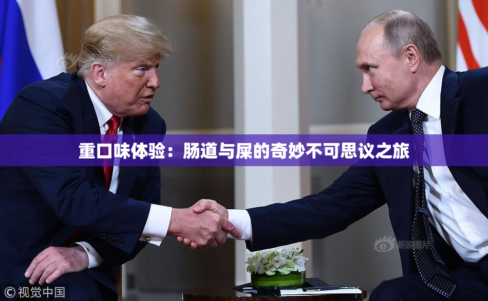 重口味体验：肠道与屎的奇妙不可思议之旅